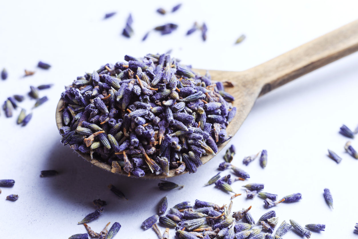 The Therapeutic Benefits of Ultra Blue Lavender