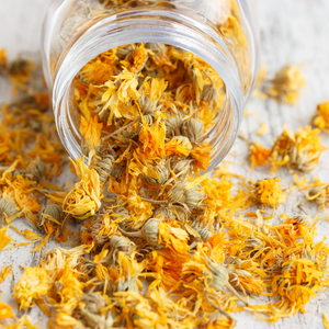 Dried Marigold Whole Flowers (1 lb.)